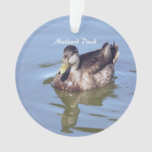 Mallard Duck Foto Ornament (voorkant)