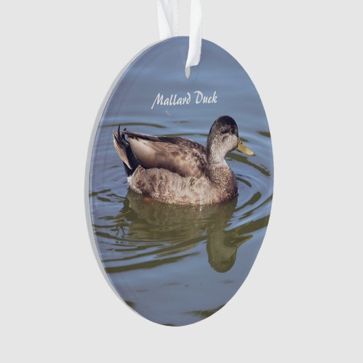 Mallard Duck Foto Ornament (voorkant)