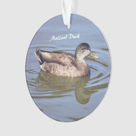 Mallard Duck Foto Ornament (voorkant)