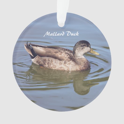Mallard Duck Foto Ornament (voorkant)