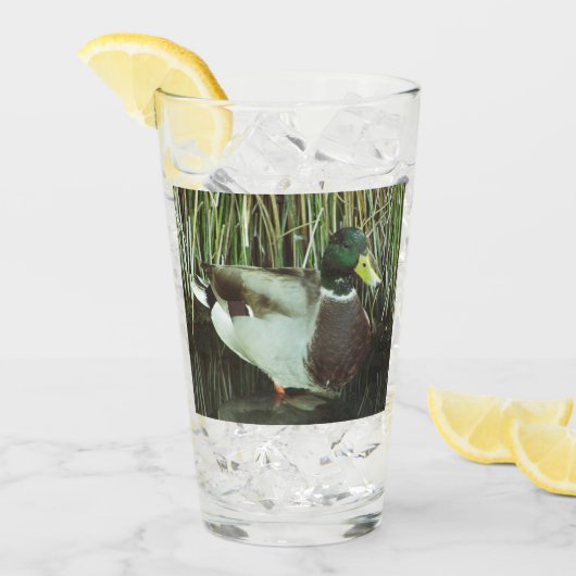 Mallard Duck Foto Outdoorsman Lake Bird Glas (Voorkant ijs)