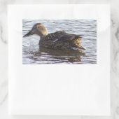 Mallard Duck Foto Stickers (Tas)