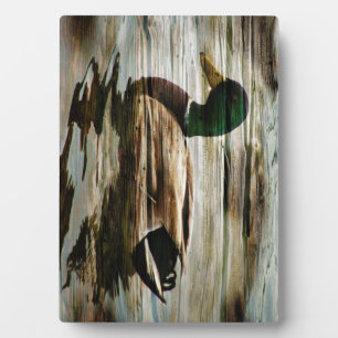 Mallard Duck Fotoplaat