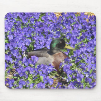 Mallard Duck Geniet van een Bed van Flowers Mousep Muismat