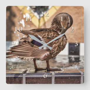 MALLARD DUCK GETAWAY RESORT SPA VIERKANTE KLOK