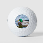 Mallard Duck Golfballen (Voorkant)