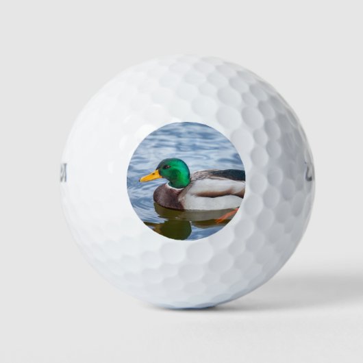 Mallard Duck Golfballen (Voorkant)