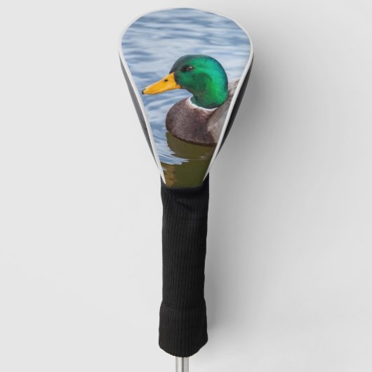Mallard Duck Golfheadcover (Voorkant)