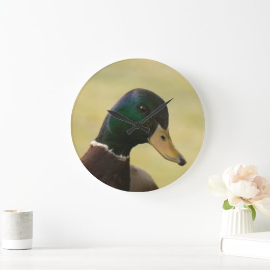 Mallard Duck Grote Klok (Huis)