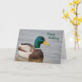 Mallard Duck Happy Birthday-kaart Kaart (Gele Bloem)