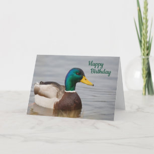 Mallard Duck Happy Birthday-kaart Kaart