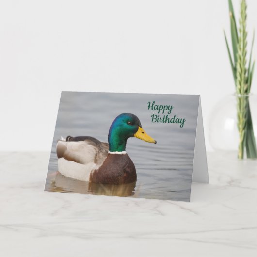 Mallard Duck Happy Birthday-kaart Kaart (Voorkant)