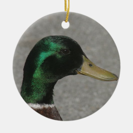 MALLARD DUCK HEAD ORNAMENT (Voorkant)