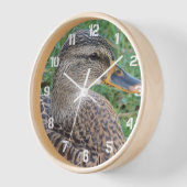 Mallard Duck Hen Foto (Hoek)