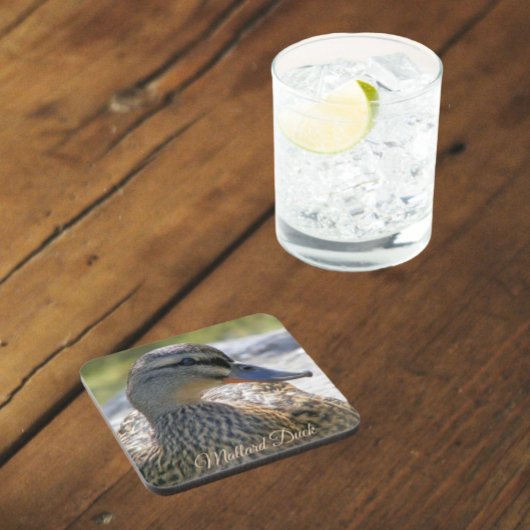 Mallard Duck Hen Natuur Foto Bier Onderzetter