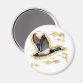 Mallard Duck Hunting Magneet (Voorkant / Achterkant)