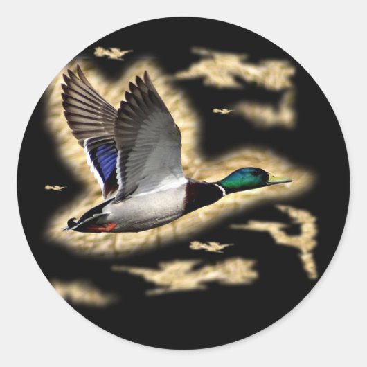 Mallard Duck Hunting Ronde Sticker (Voorkant)