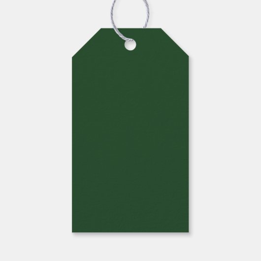 Mallard Duck Illustration on Olive Green Cadeaulabel (Achterkant)