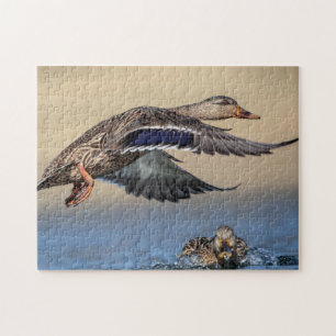 Mallard Duck in de Hudson Valle Legpuzzel