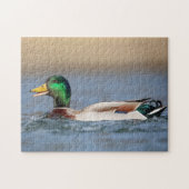 Mallard Duck in de Hudson-vallei Legpuzzel (Horizontaal)
