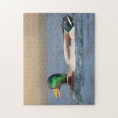 Mallard Duck in de Hudson-vallei Legpuzzel (Verticaal)