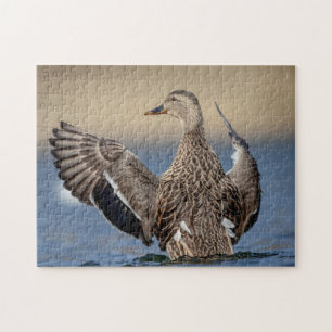 Mallard Duck in de Hudson-vallei Legpuzzel