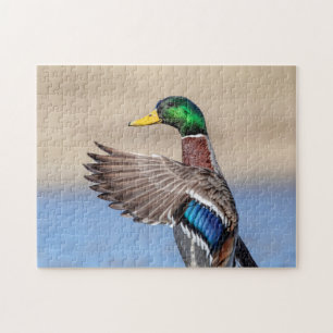 Mallard Duck in de Hudson-vallei Legpuzzel