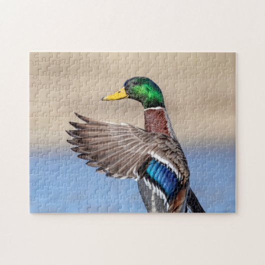 Mallard Duck in de Hudson-vallei Legpuzzel (Horizontaal)