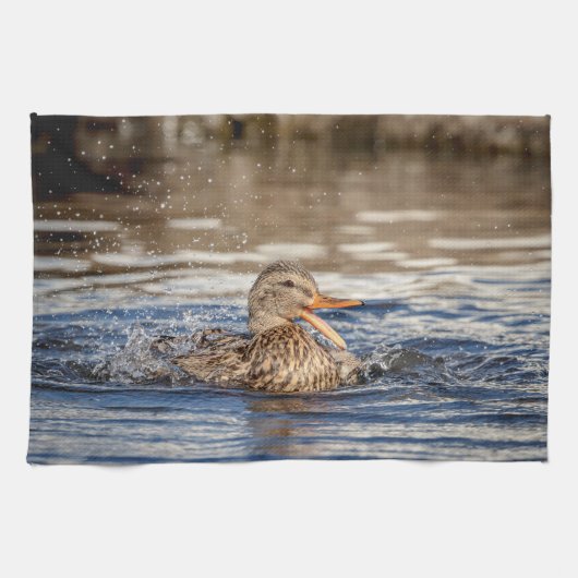 Mallard Duck in Downing Park Theedoek (Horizontaal)
