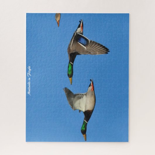 Mallard Duck in Flight Legpuzzel (Verticaal)