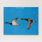 Mallard Duck in Flight Legpuzzel (Horizontaal)
