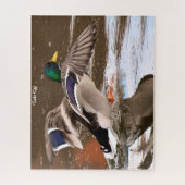 Mallard Duck in Flight Legpuzzel (Verticaal)