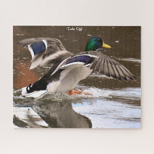 Mallard Duck in Flight Legpuzzel (Horizontaal)