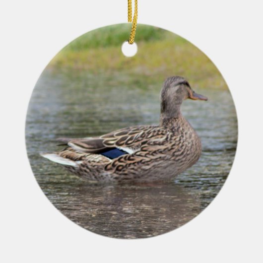 Mallard Duck in Puddle Keramisch Ornament (Voorkant)