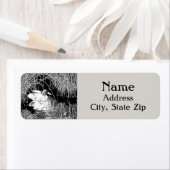 Mallard Duck in Reeds Black White Lake Bird Etiket (Insitu)