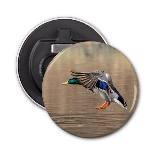 Mallard Duck in vlucht Button Flesopener (Voorkant)