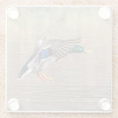 Mallard Duck in vlucht Glazen Onderzetter (Achterkant)