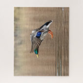 Mallard Duck in vlucht Legpuzzel (Verticaal)