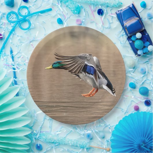Mallard Duck in vlucht Papieren Bordje (Feest)