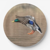 Mallard Duck in vlucht Papieren Bordje (Voorkant)