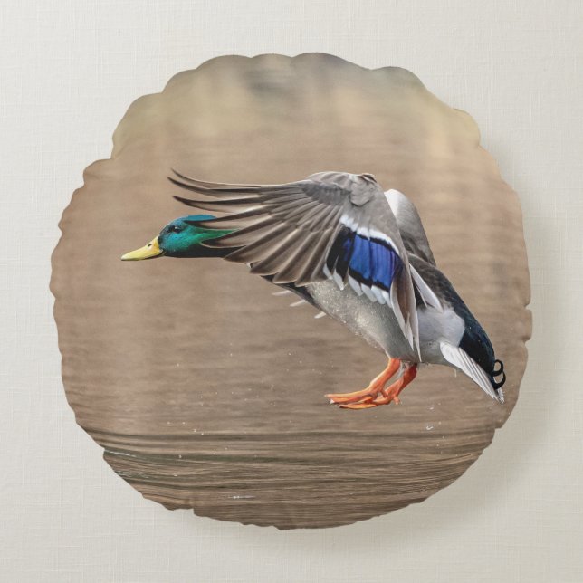 Mallard Duck in vlucht Rond Kussen (Voorkant)
