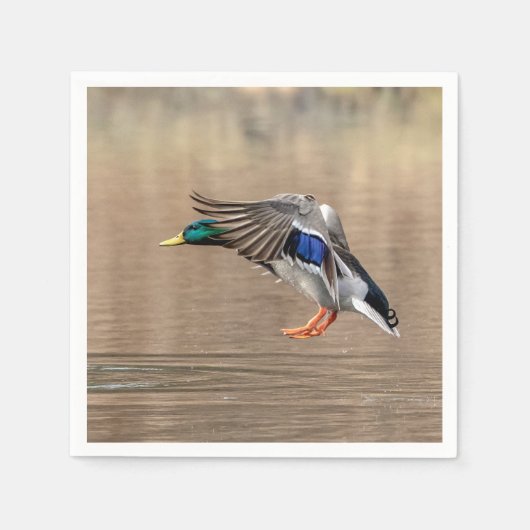 Mallard Duck in vlucht Servet (Voorkant)