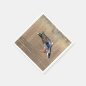 Mallard Duck in vlucht Servet (Hoek)