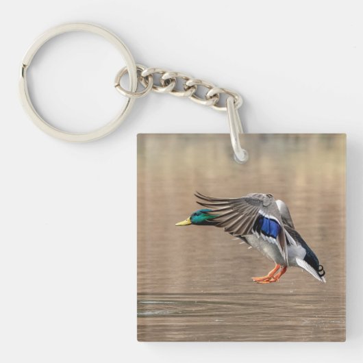 Mallard Duck in vlucht Sleutelhanger (Voorkant)