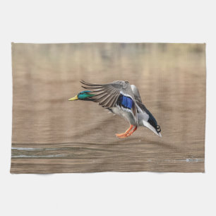 Mallard Duck in vlucht Theedoek