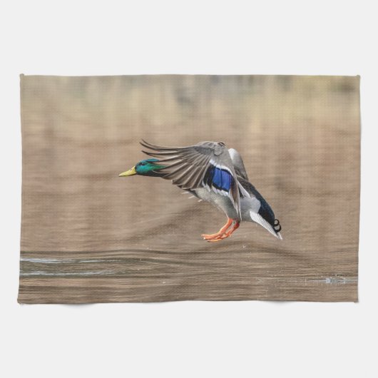 Mallard Duck in vlucht Theedoek (Horizontaal)