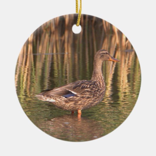 Mallard Duck in Water Ornament (Voorkant)