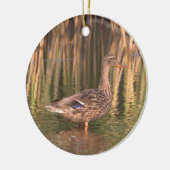 Mallard Duck in Water Ornament (Links)