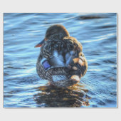 Mallard Duck in Winter River - Wildlife Foto Cadeaupapier (Vlak)