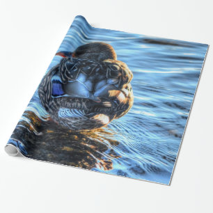 Mallard Duck in Winter River - Wildlife Foto Cadeaupapier